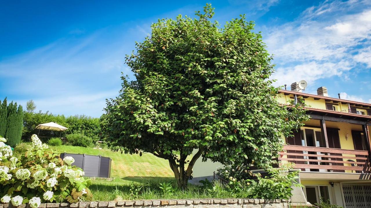 Gardenpark Soleil Villa Nebbiuno Exterior photo